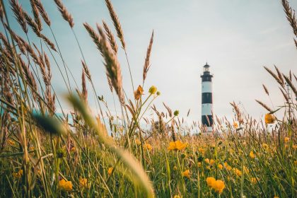Séjour inoubliable à l'île d'Oléron : réservez vite votre hébergement !