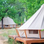 Évadez-vous : les lodges de camping en pleine nature pour une expérience unique !
